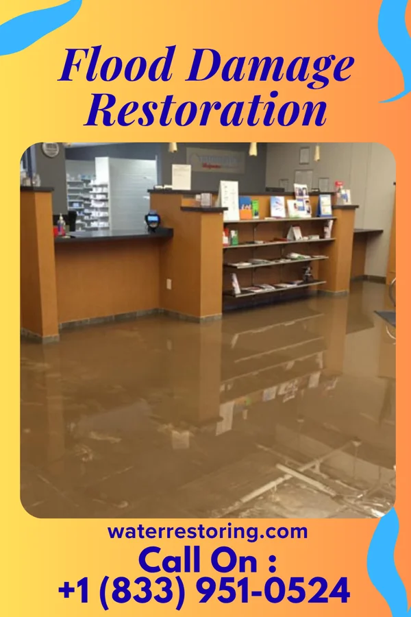 Flood Damage Restoration in Wayne City, IL