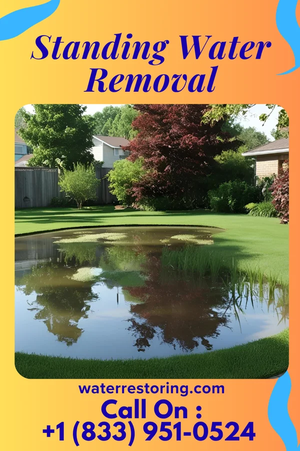 Standing Water Removal in Wayne City, IL